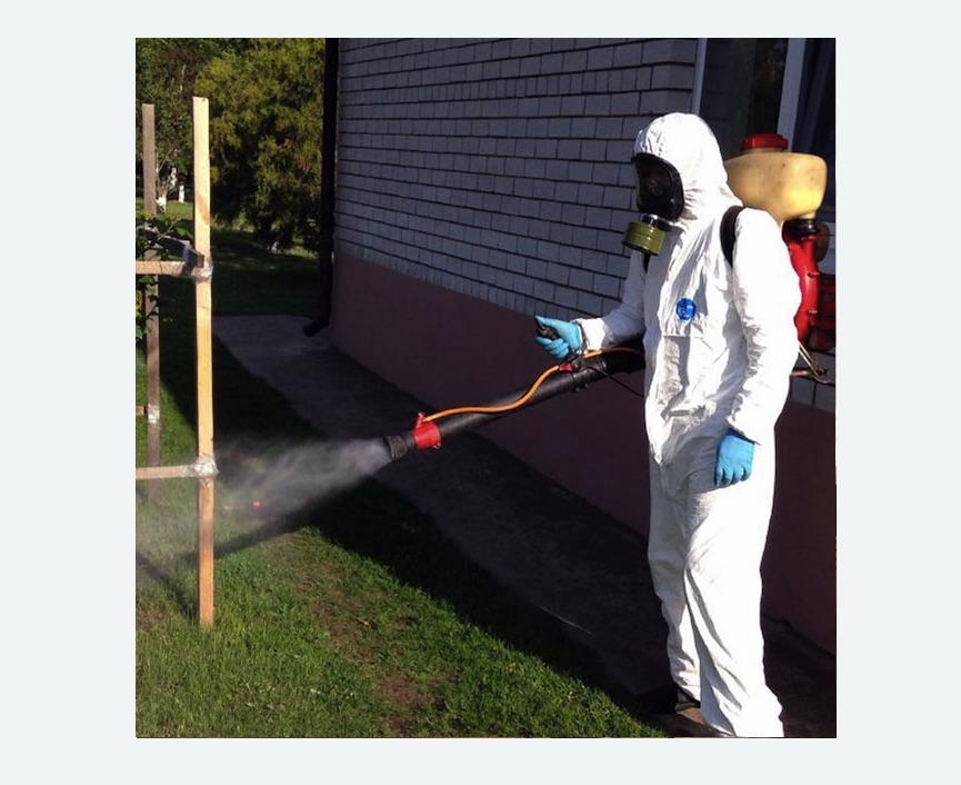 травля клещей на участке в Кандалакше