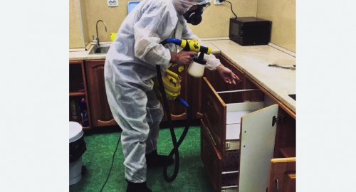 Уничтожение насекомых в квартире. Кандалакша