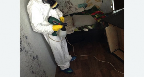 Обработка квартир от насекомых в Кандалакше