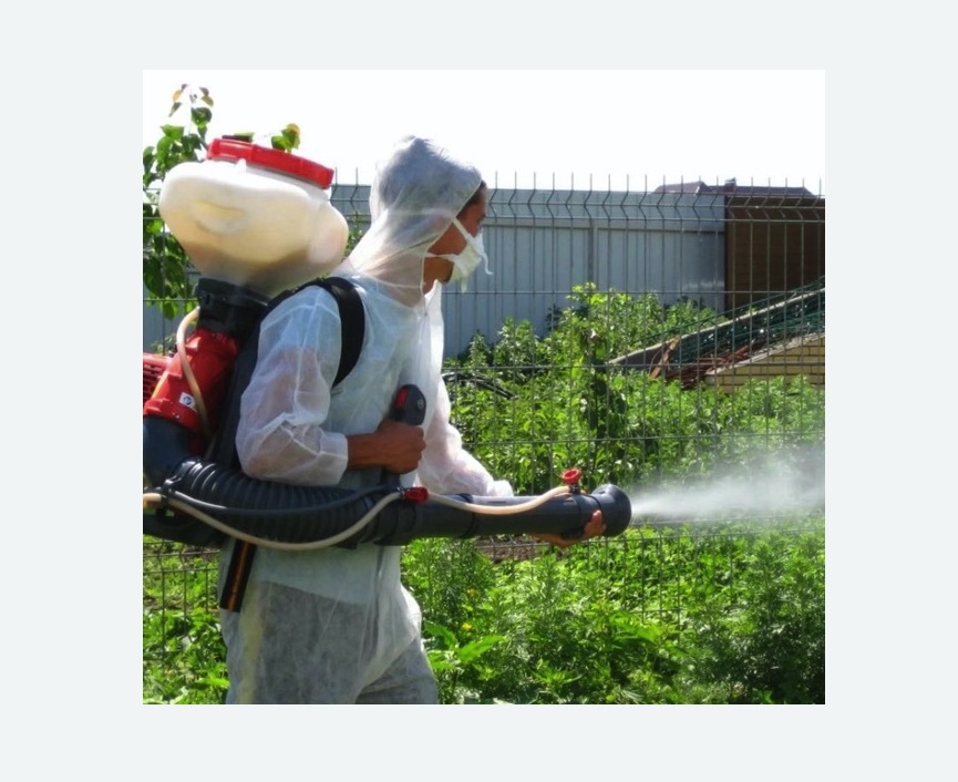 Акарицидная обработка территории в Кандалакше