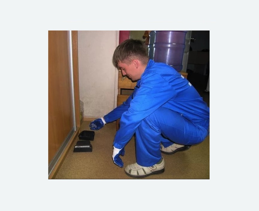 Дератизация крыс в Кандалакше