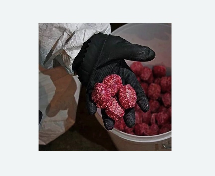 Обработка от крыс в Кандалакше