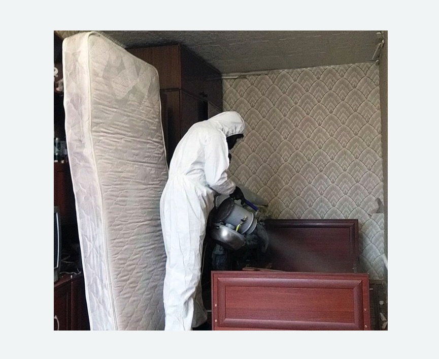 дезинфекция от клопов в Кандалакше