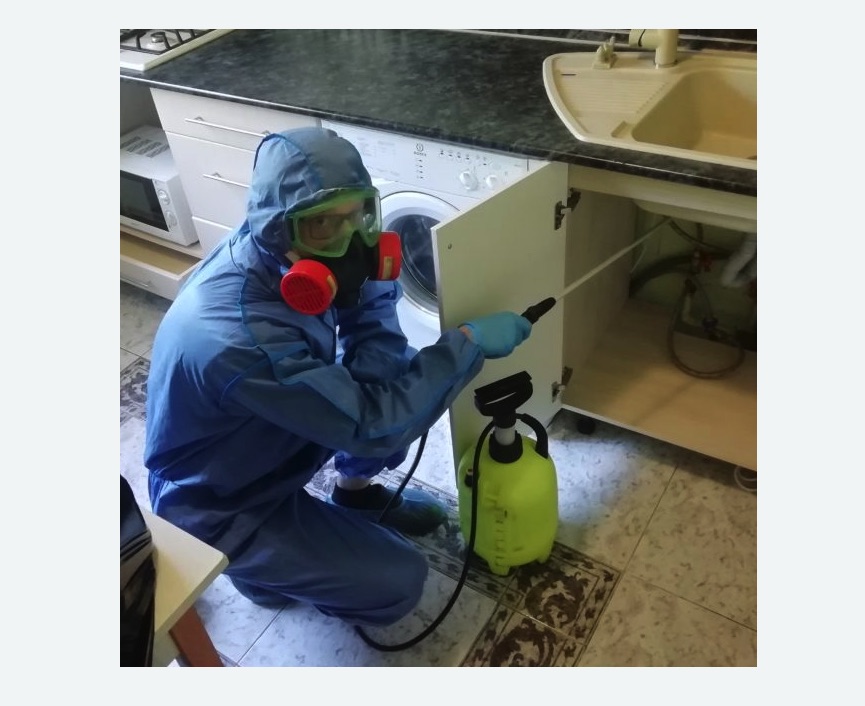 обработка от муравьев в квартире в Кандалакше