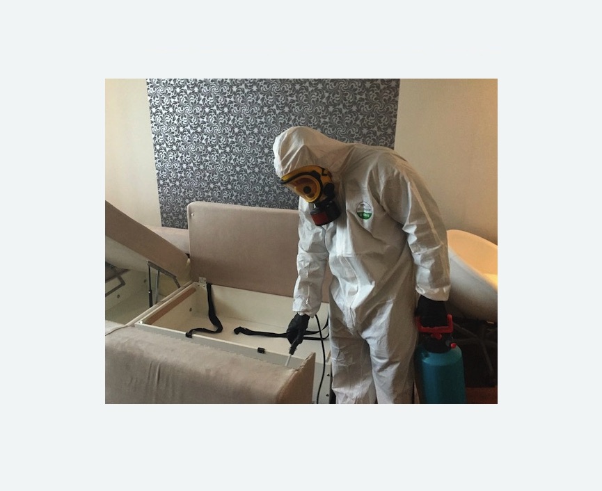 уничтожение клопов в квартире в Кандалакше