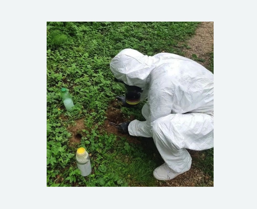 уничтожение кротов на участке в Кандалакше