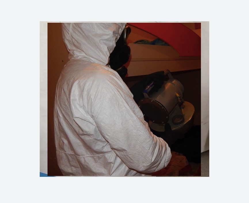 Дезинфекция от муравьев в Кандалакше