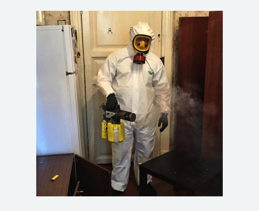 уничтожение муравьев в квартире в Кандалакше